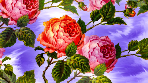 1423436 (a): :1920x1080